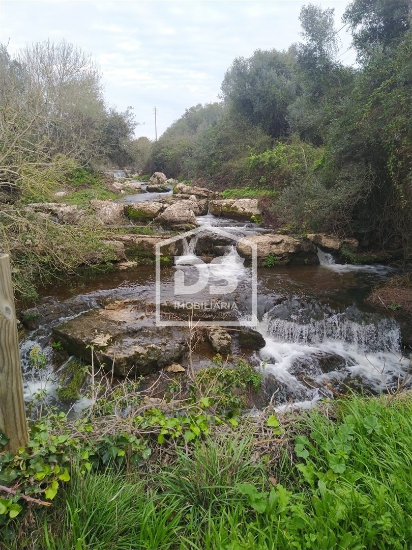 Farm Ranch in Almargem do Bispo, Lisbon, Portugal 1 - 15625123