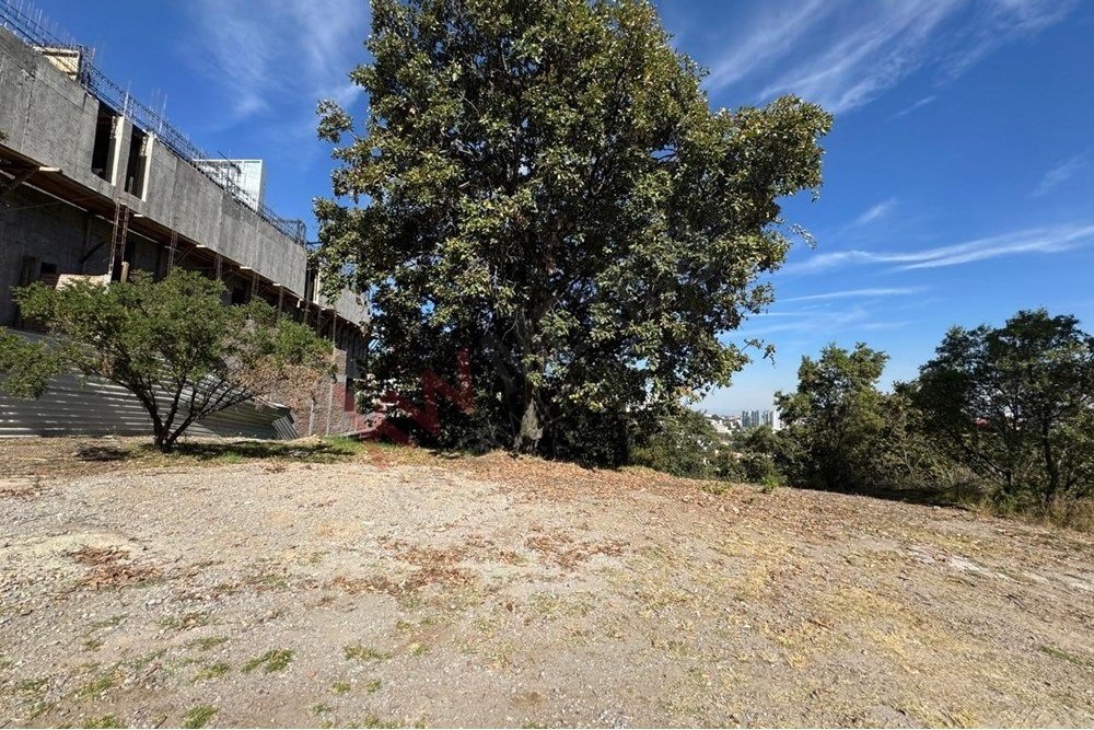 Land in Naucalpan de Juárez, State of Mexico, Mexico 5 - 15625630
