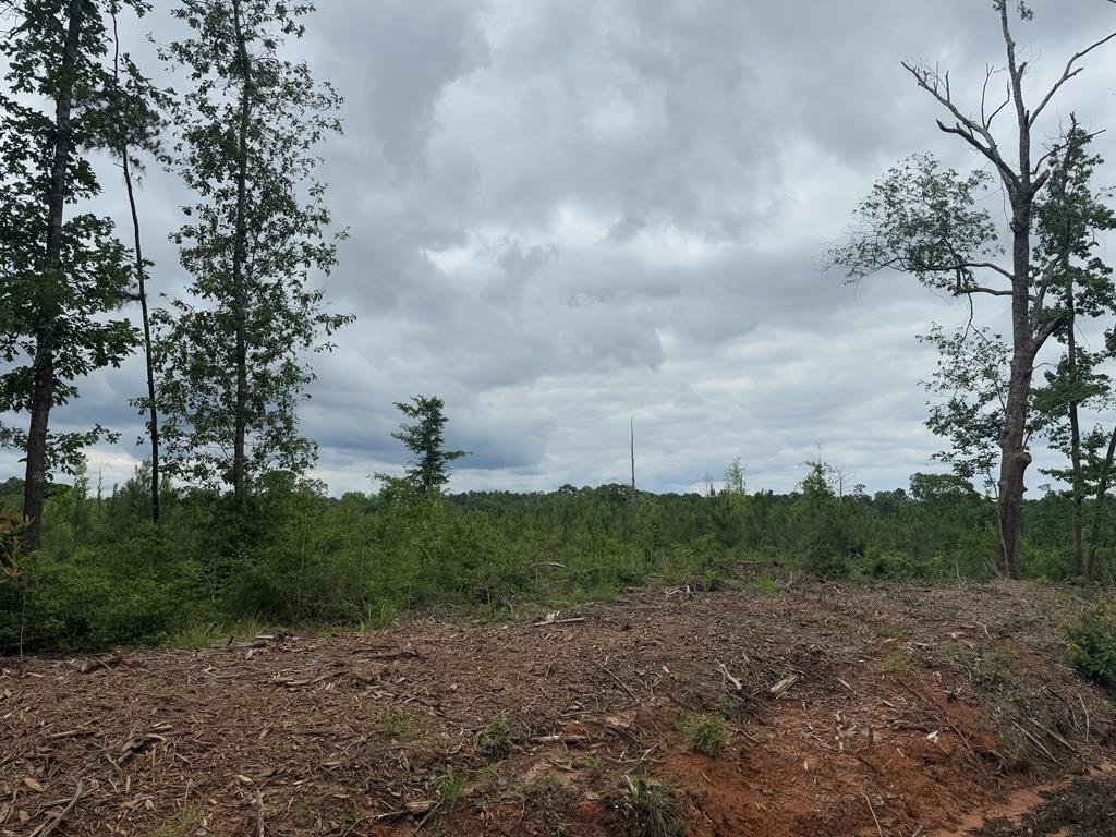 Terreno a Jasper, Texas, Stati Uniti 1 - 15625665