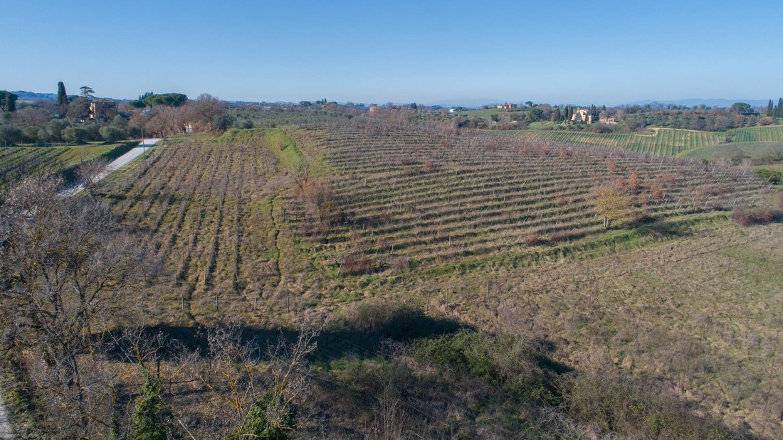 Casa de Campo en Montepulciano, Toscana, Italia 3 - 15625524