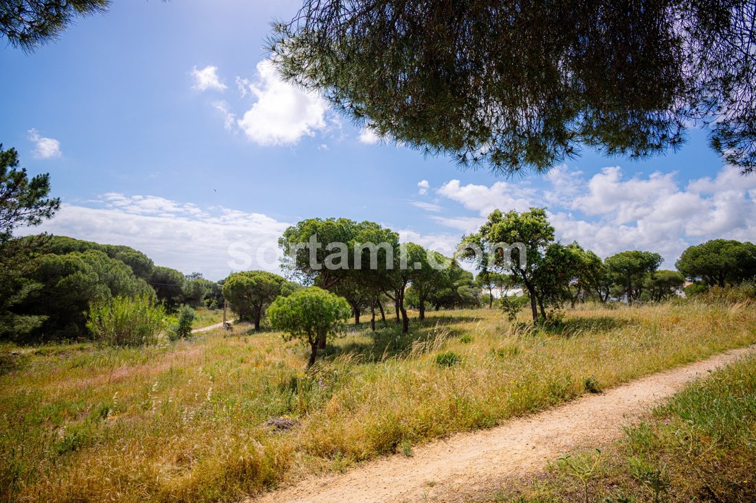 Land in Montenegro, Algarve, Portugal 4 - 15624859