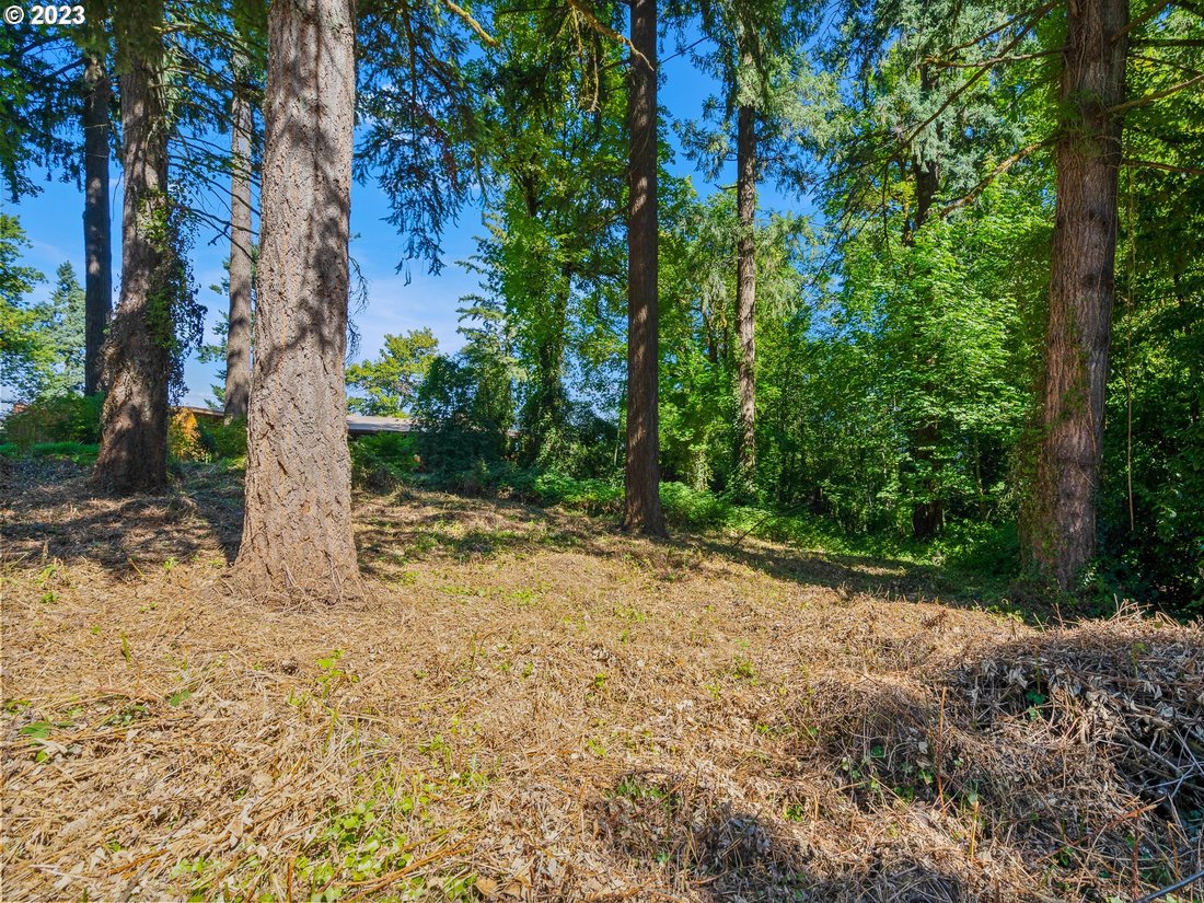 Land in Portland, Oregon, United States 2 - 15626033