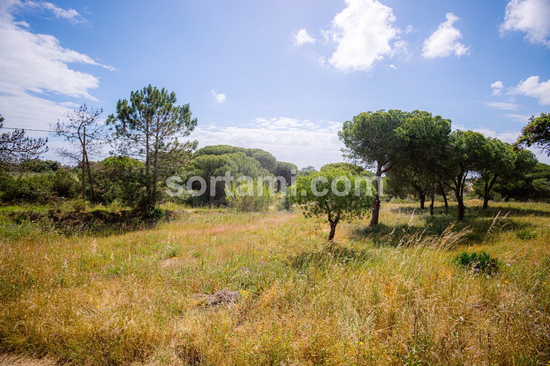 Land in Montenegro, Algarve, Portugal 2 - 15624859