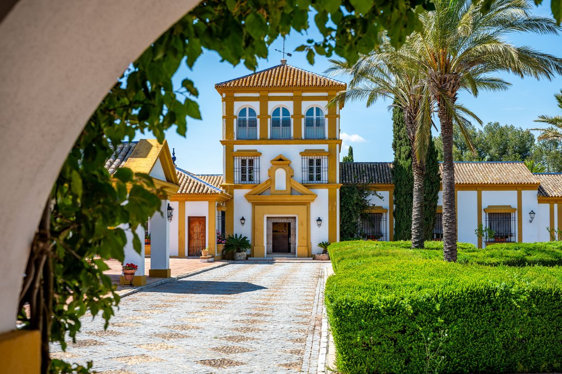 Estate in Carmona, Andalusia, Spain 3 - 13976783