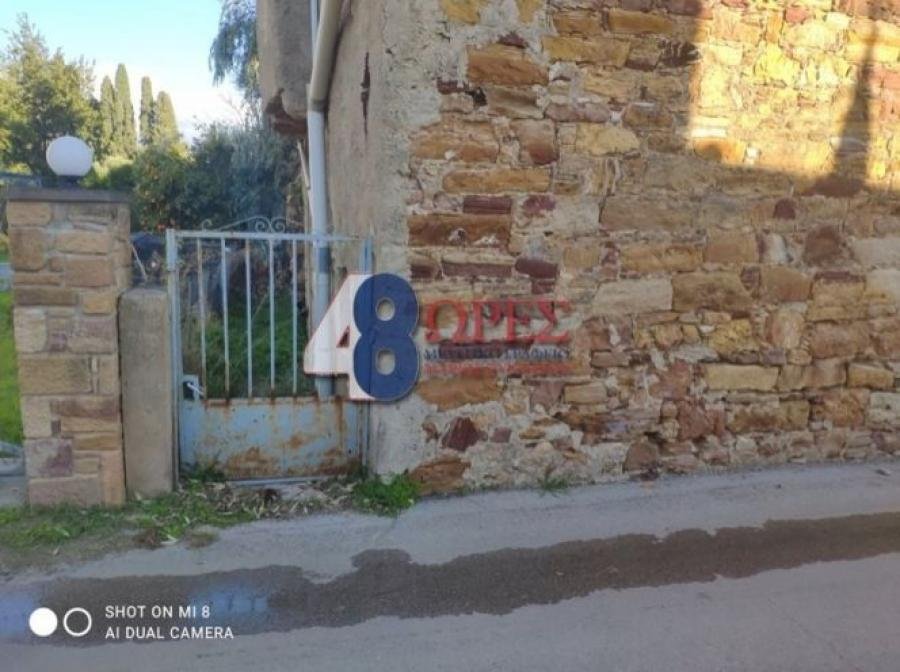 Chios, Aegean, Greece 3 - 15628665