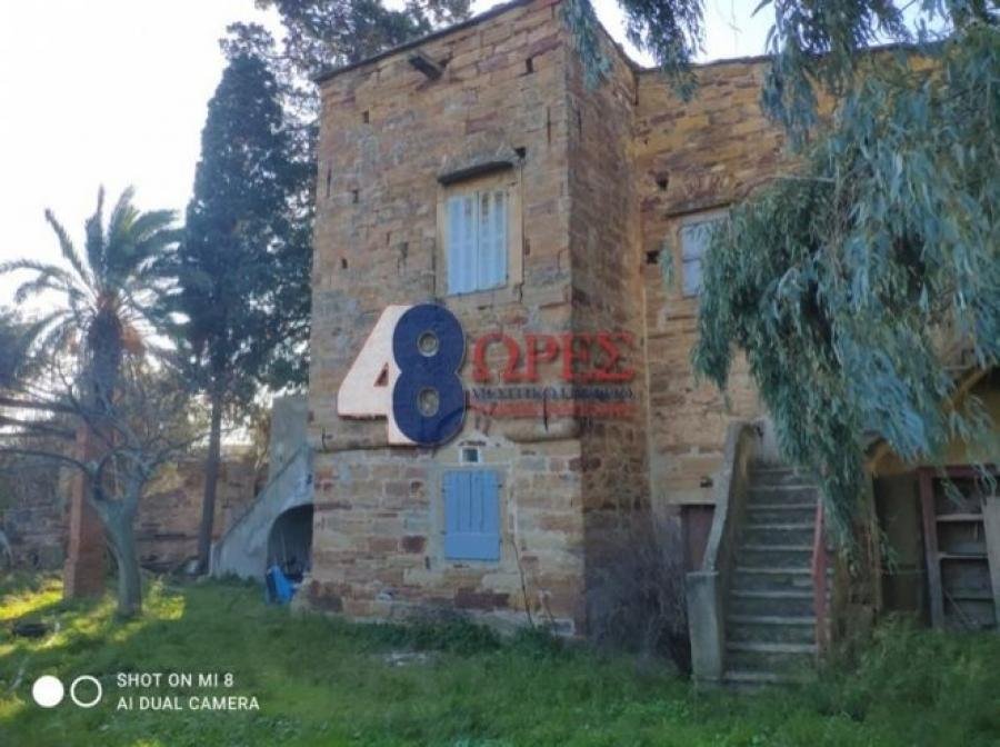 Chios, Aegean, Greece 1 - 15628665