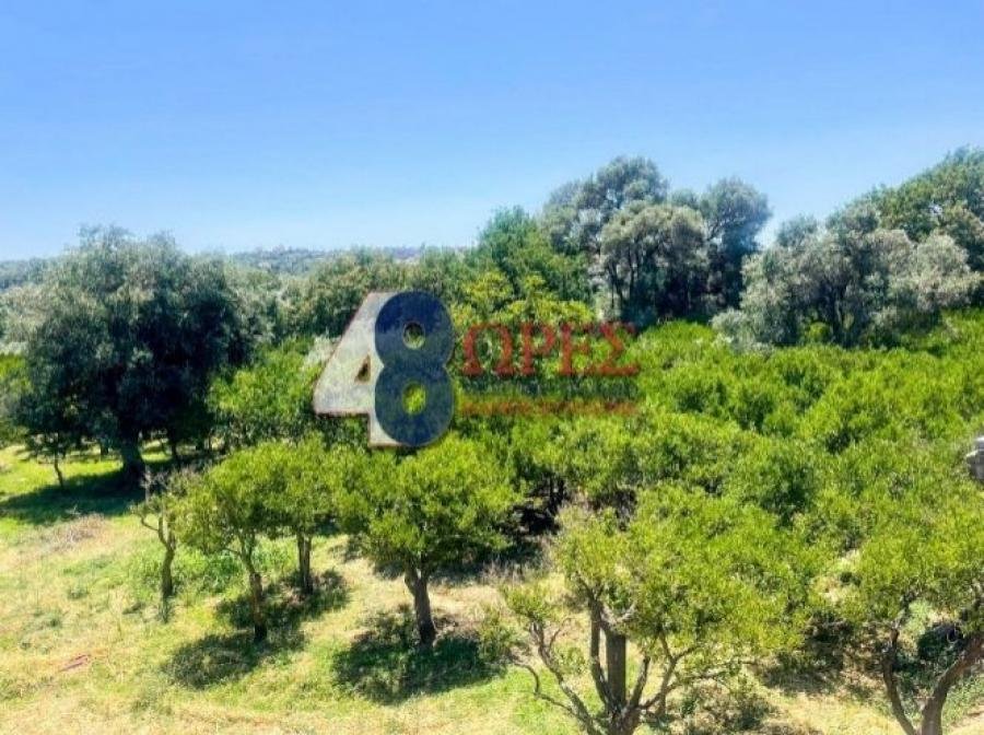Land in Chios, Aegean, Greece 4 - 15628661