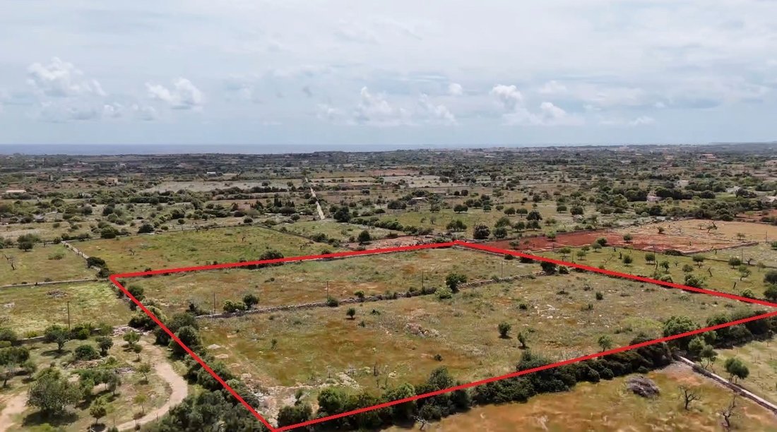 Land in Manacor, Balearic Islands, Spain 5 - 15628550