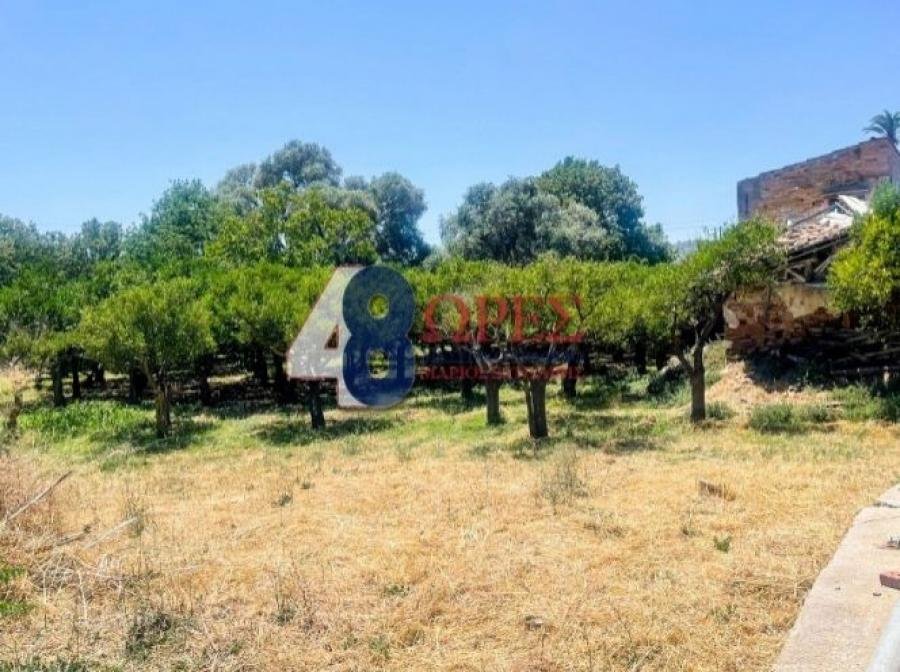 Land in Chios, Aegean, Greece 3 - 15628661