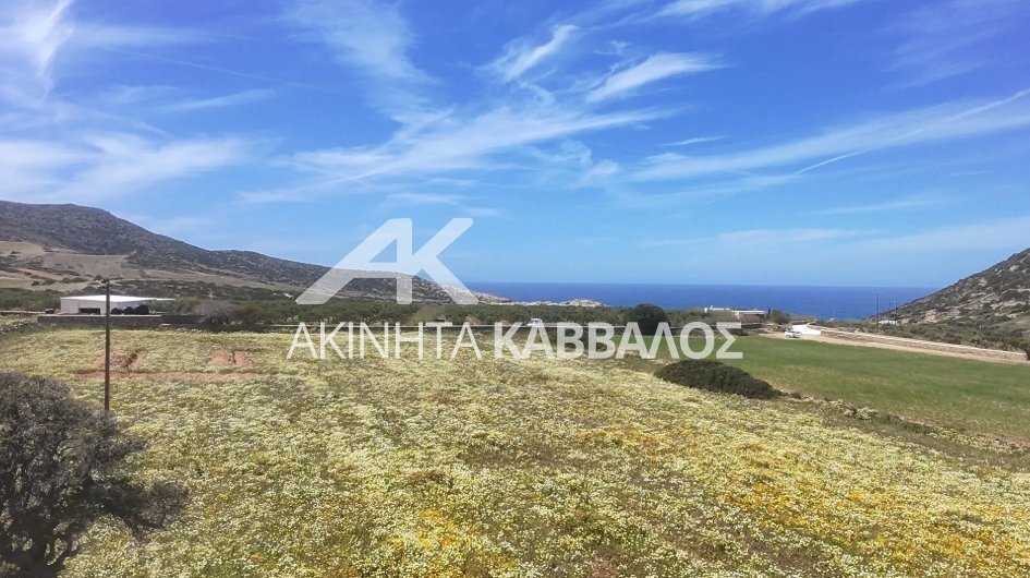 Land in Antiparos, Aegean, Greece 1 - 15628332
