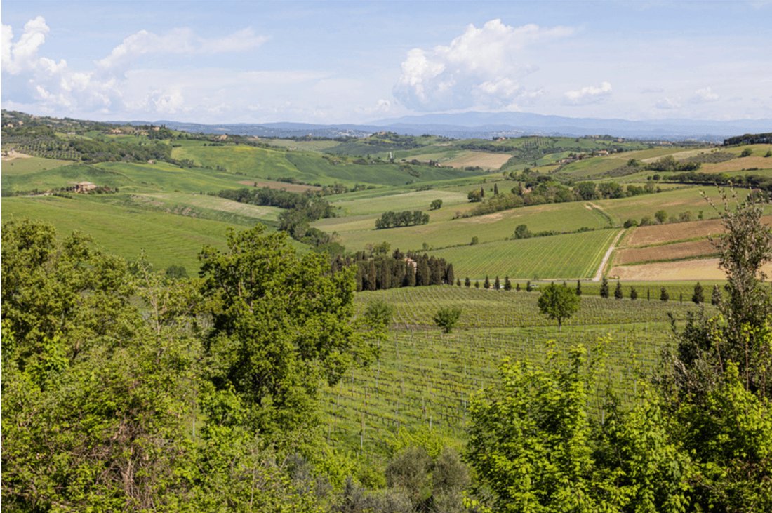 Finca en Montepulciano, Toscana, Italia 5 - 15628784