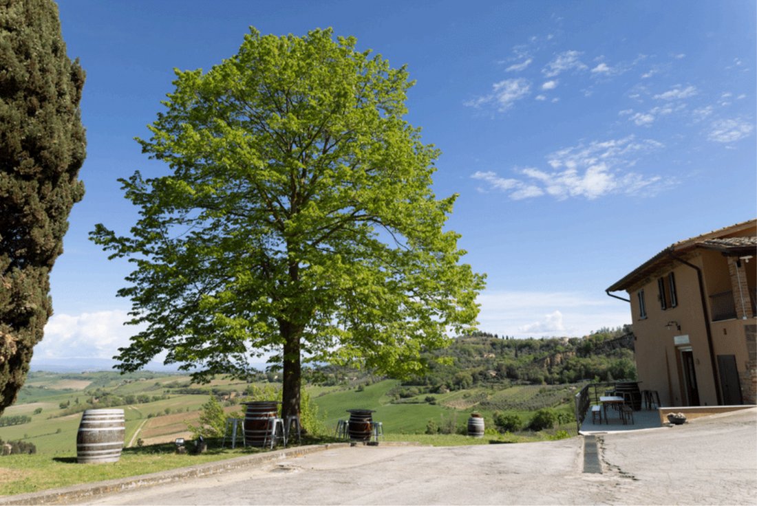 Finca en Montepulciano, Toscana, Italia 1 - 15628784