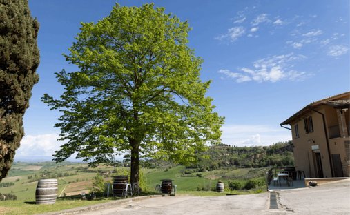 Estate in Montepulciano, Tuscany, Italy 1