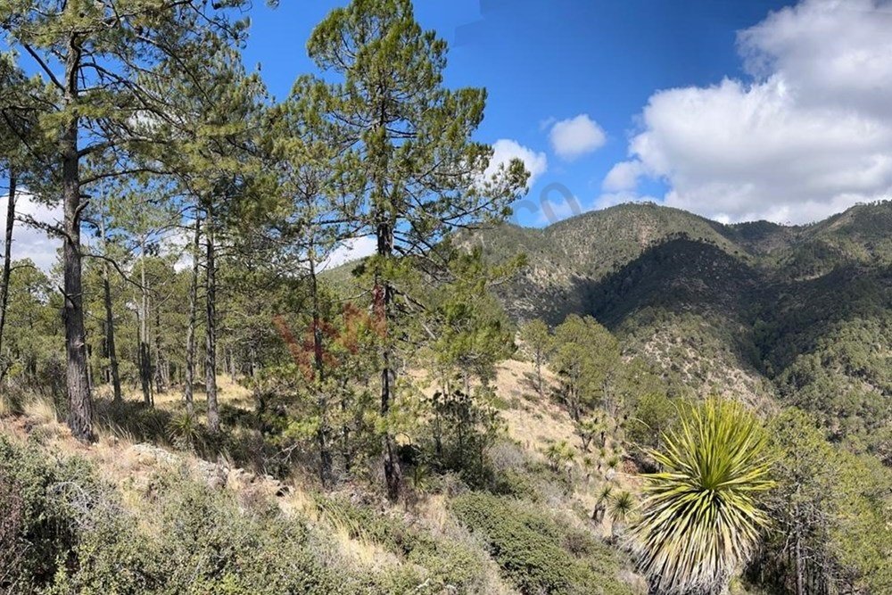 Land in Xaltitla, Tlaxcala, Mexico 1 - 15632218