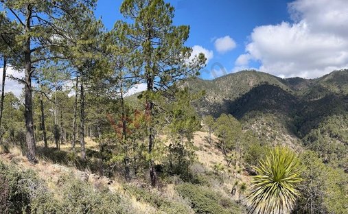 Terrain à Xaltitla, État de Tlaxcala, Mexique 1