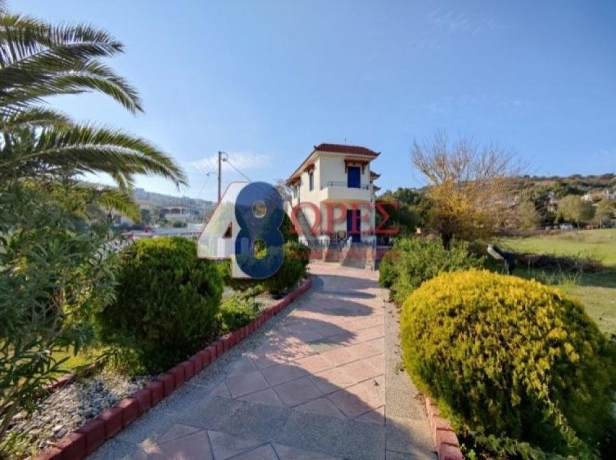 Chios, Aegean, Greece 4 - 15635549