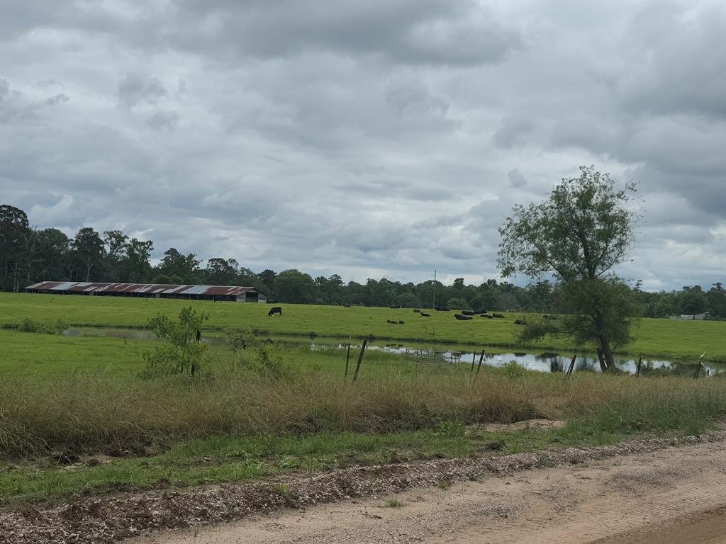 Terreno a Jasper, Texas, Stati Uniti 5 - 15625665