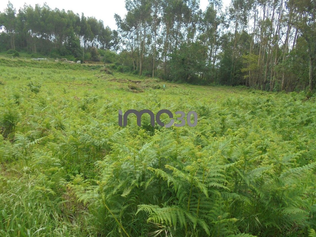 Land in Baguim do Monte, Porto District, Portugal 4 - 15635324