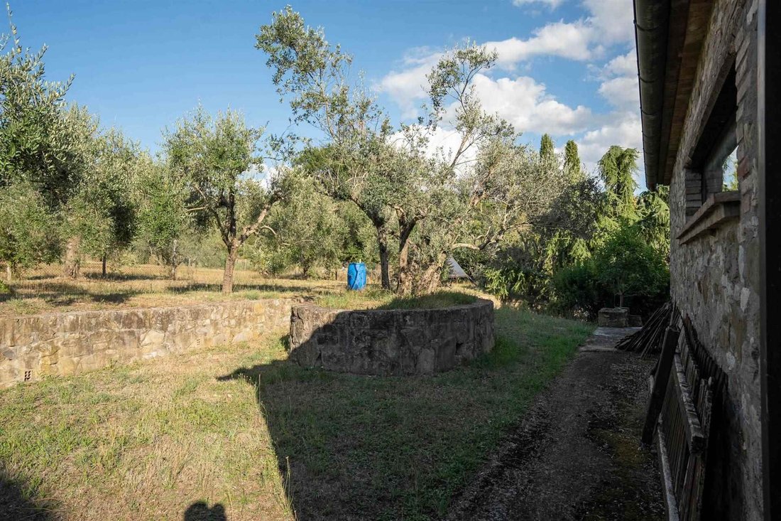 Passignano sul Trasimeno, Umbria, Italy 2 - 15630919