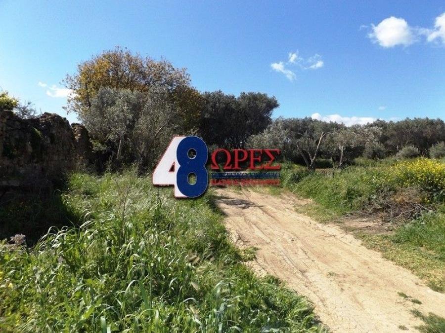 Land in Chios, Aegean, Greece 2 - 15635495