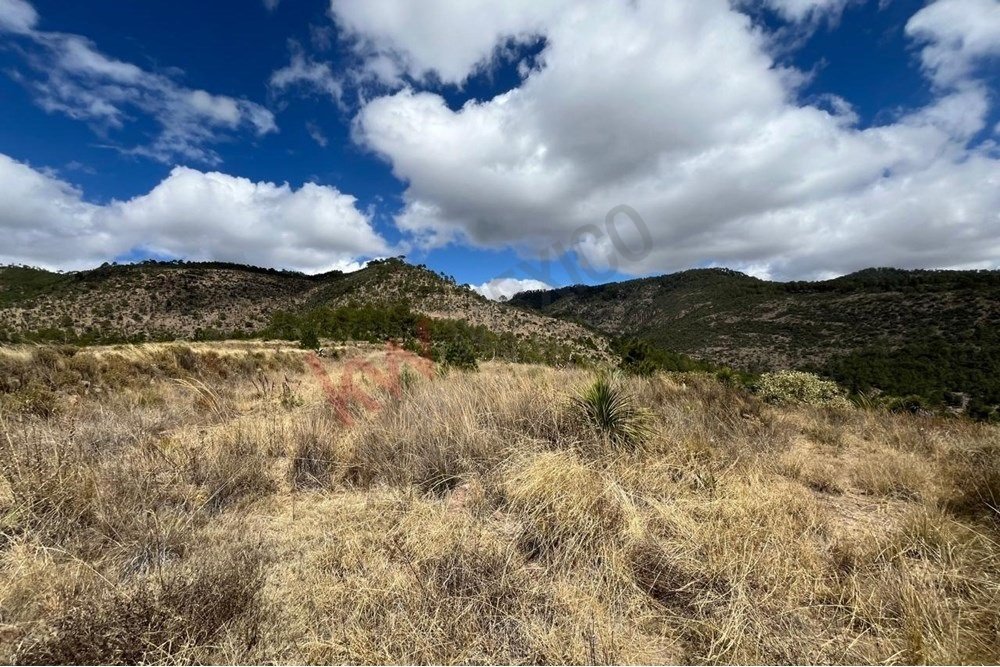 Terreno a Xaltitla, Tlaxcala, Messico 2 - 15632213