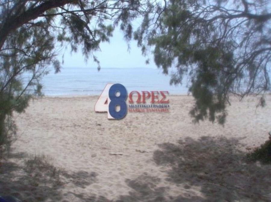Land in Chios, Aegean, Greece 2 - 15635526