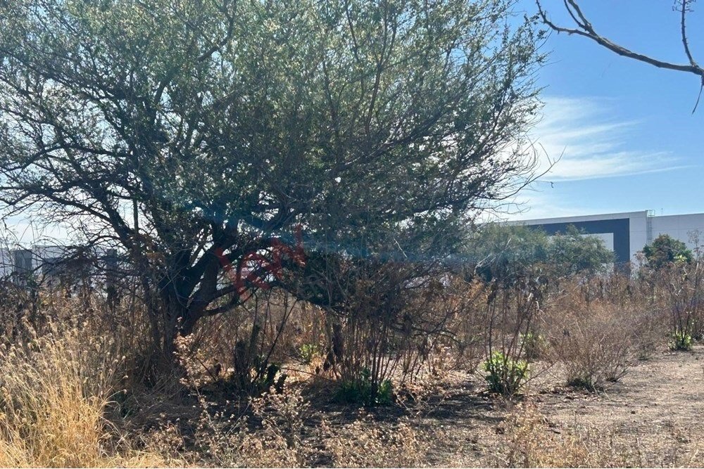 Land in Tlaquepaque, Jalisco, Mexico 5 - 15632183
