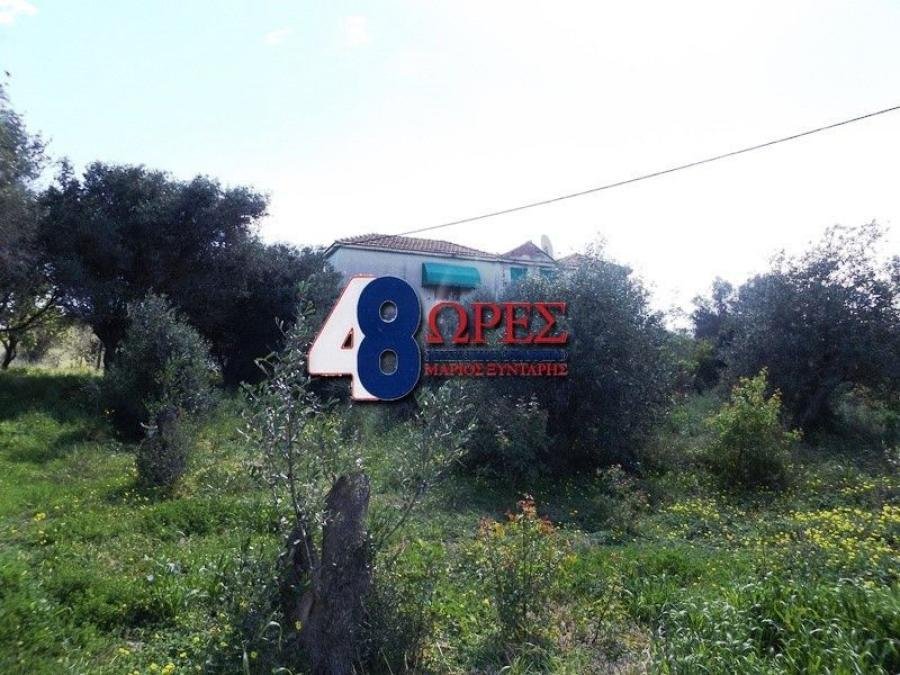 Land in Chios, Aegean, Greece 5 - 15635495