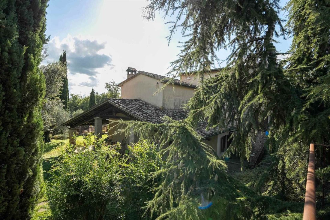 Passignano sul Trasimeno, Umbria, Italy 1 - 15630919
