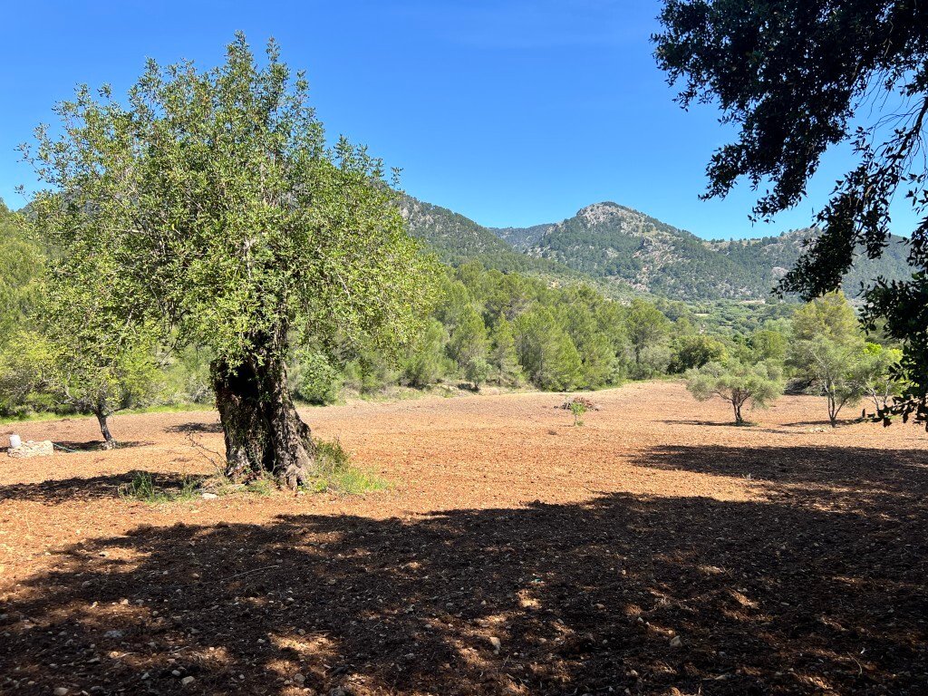 Autres à Selva, Îles Baléares, Espagne 5 - 15630920