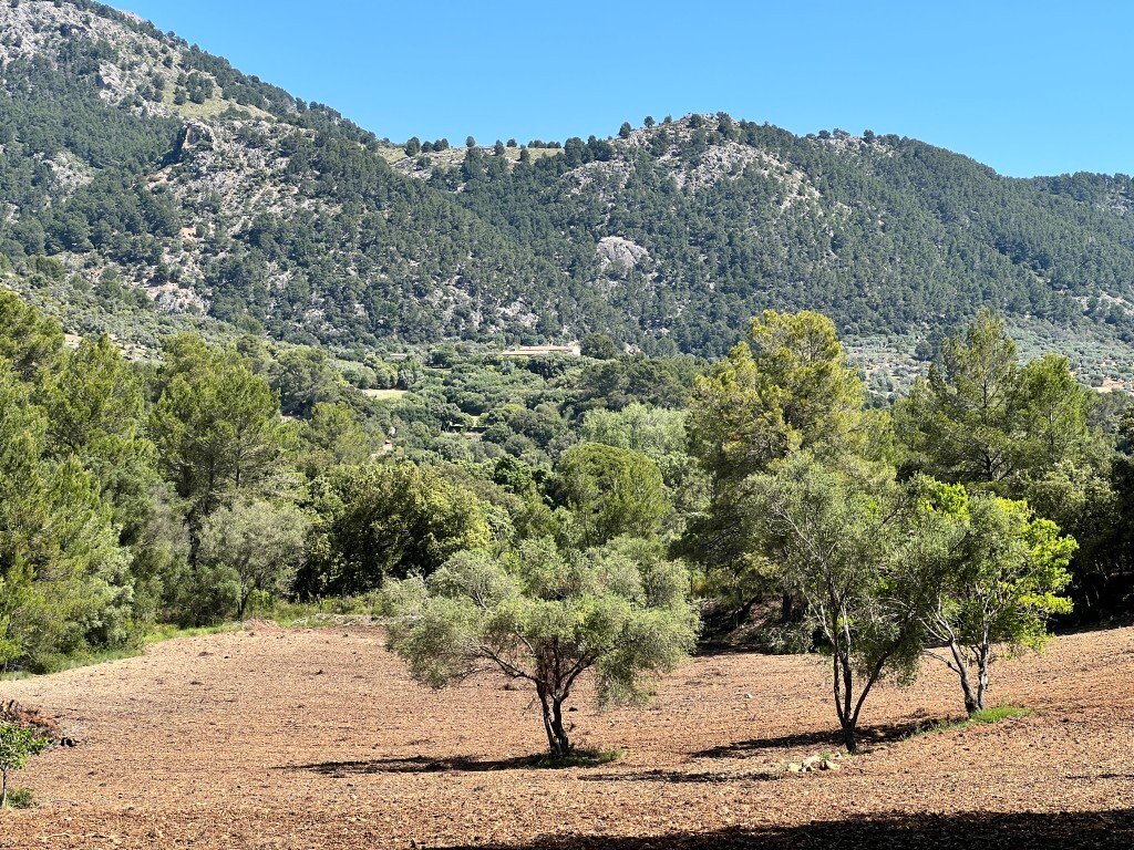 Autres à Selva, Îles Baléares, Espagne 1 - 15630920