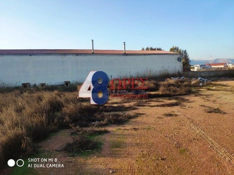 Land in Chios, Aegean, Greece 4 - 15635455