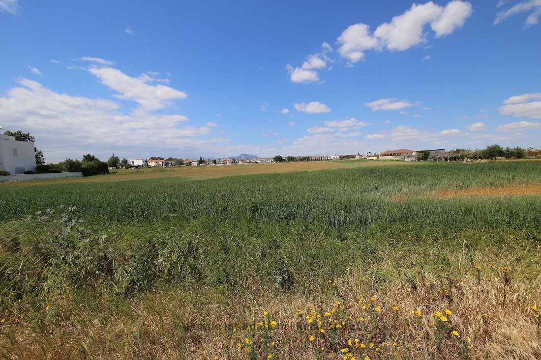 Land in Perivolia, Larnaca, Cyprus 4 - 15635050
