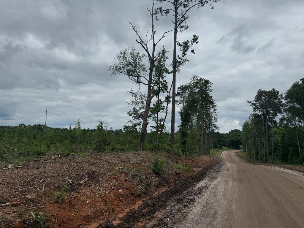 Terreno a Jasper, Texas, Stati Uniti 4 - 15625665