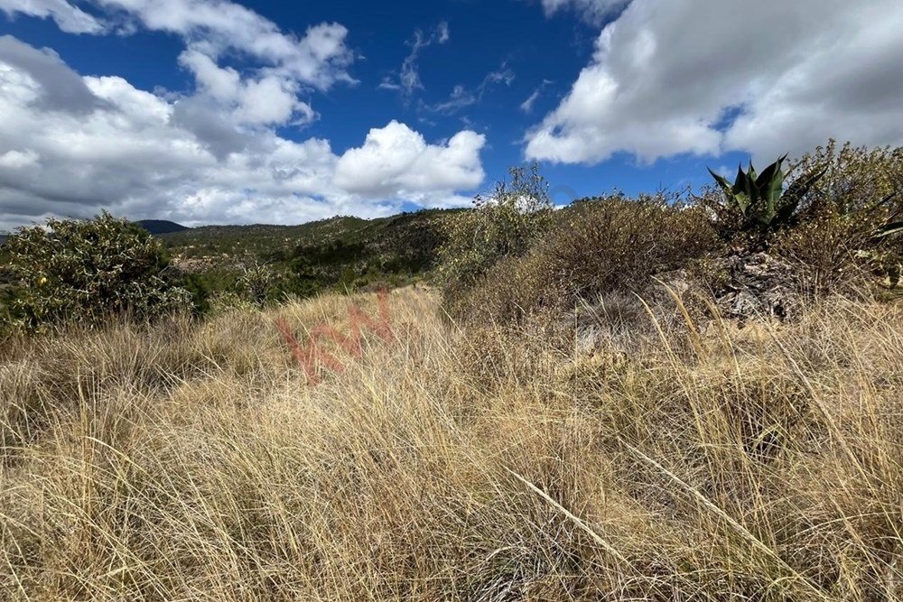 Land in Xaltitla, Tlaxcala, Mexico 5 - 15632203