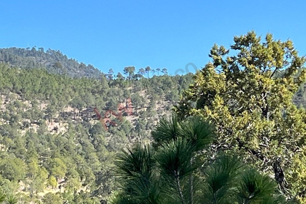 Land in Xaltitla, Tlaxcala, Mexico 5 - 15632218