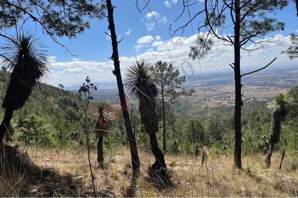 Land in Xaltitla, Tlaxcala, Mexico 3 - 15632218