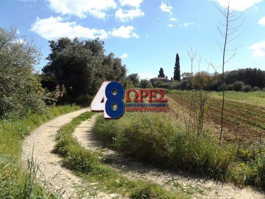 Land in Chios, Aegean, Greece 1 - 15635495