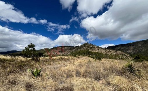 Terrain à Xaltitla, État de Tlaxcala, Mexique 1