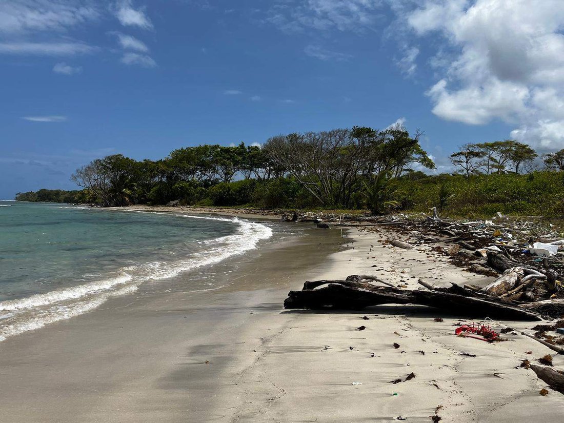 Land in Colón, Colón Province, Panama 3 - 15631563
