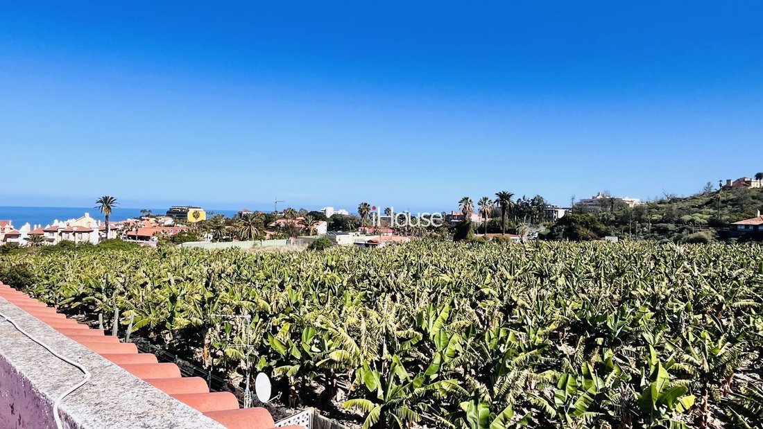 Chalet in Puerto de la Cruz, Canary Islands, Spain 3 - 15630968
