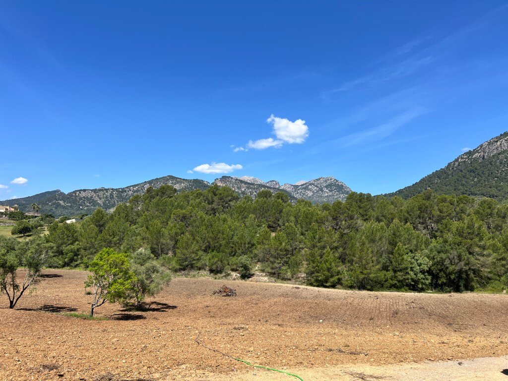 Autres à Selva, Îles Baléares, Espagne 2 - 15630920