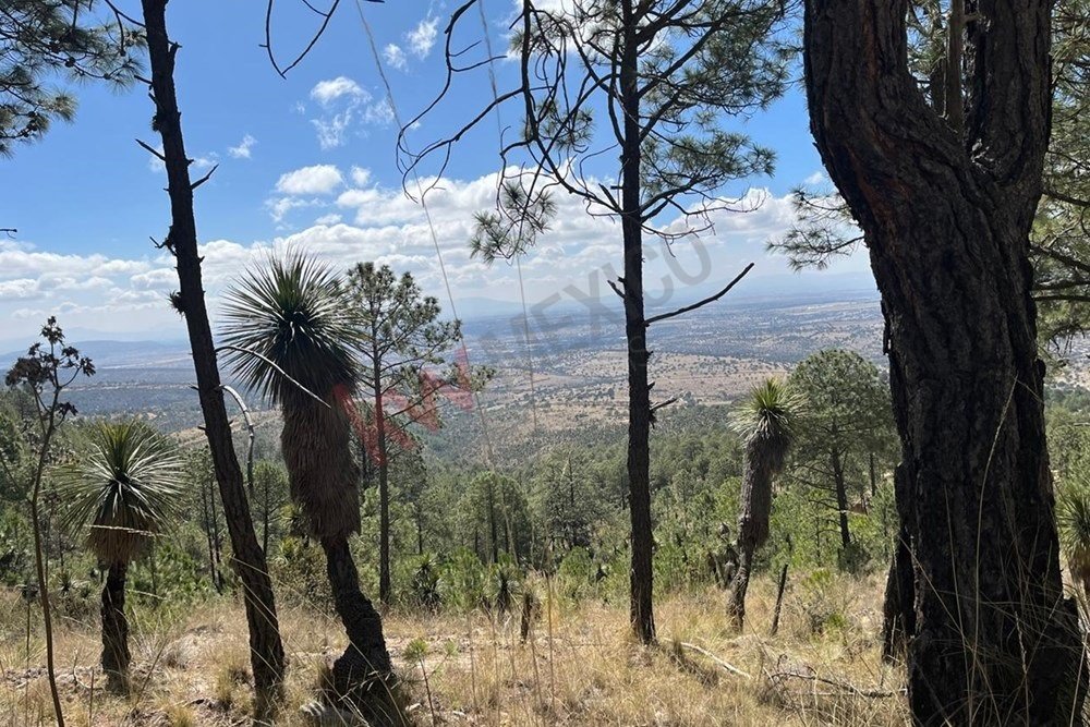 Terreno a Xaltitla, Tlaxcala, Messico 4 - 15632213