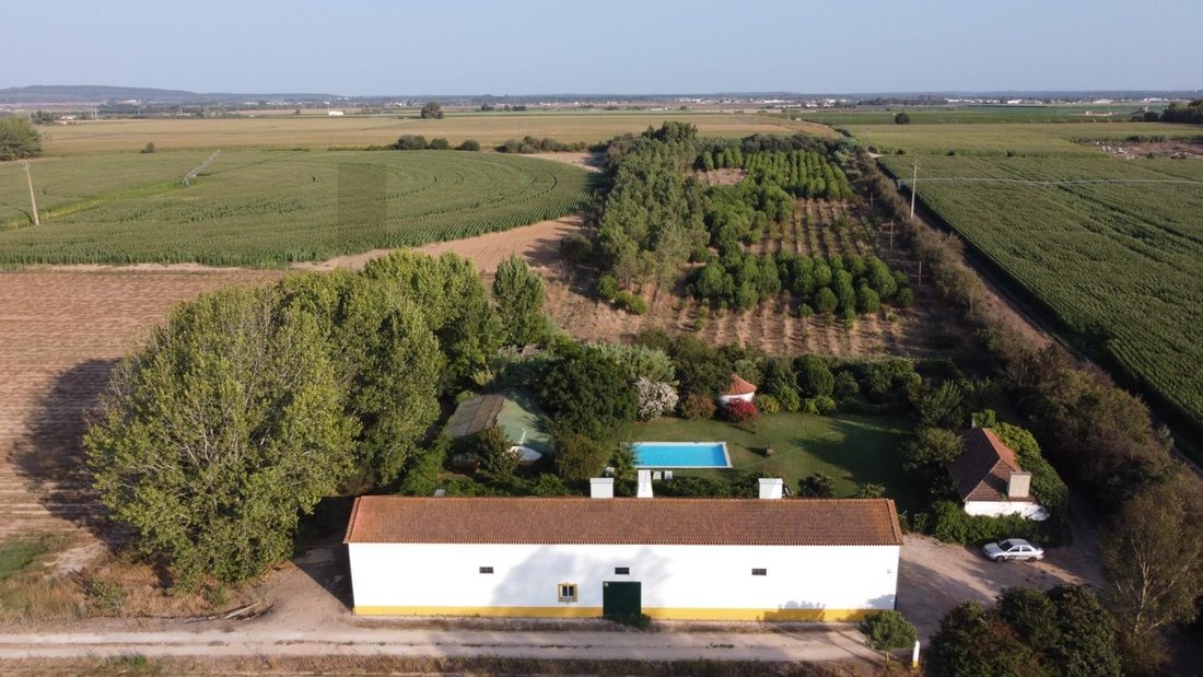 Farm Ranch in Benfica do Ribatejo, Santarem District, Portugal 4 - 15632777