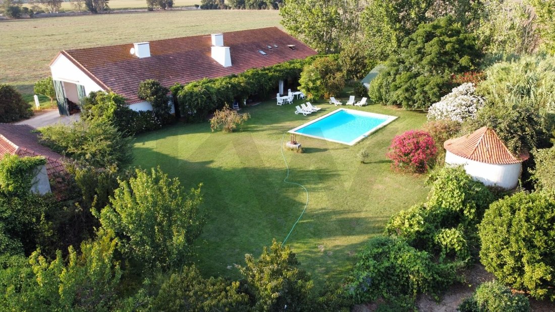 Farm Ranch in Benfica do Ribatejo, Santarem District, Portugal 3 - 15632777