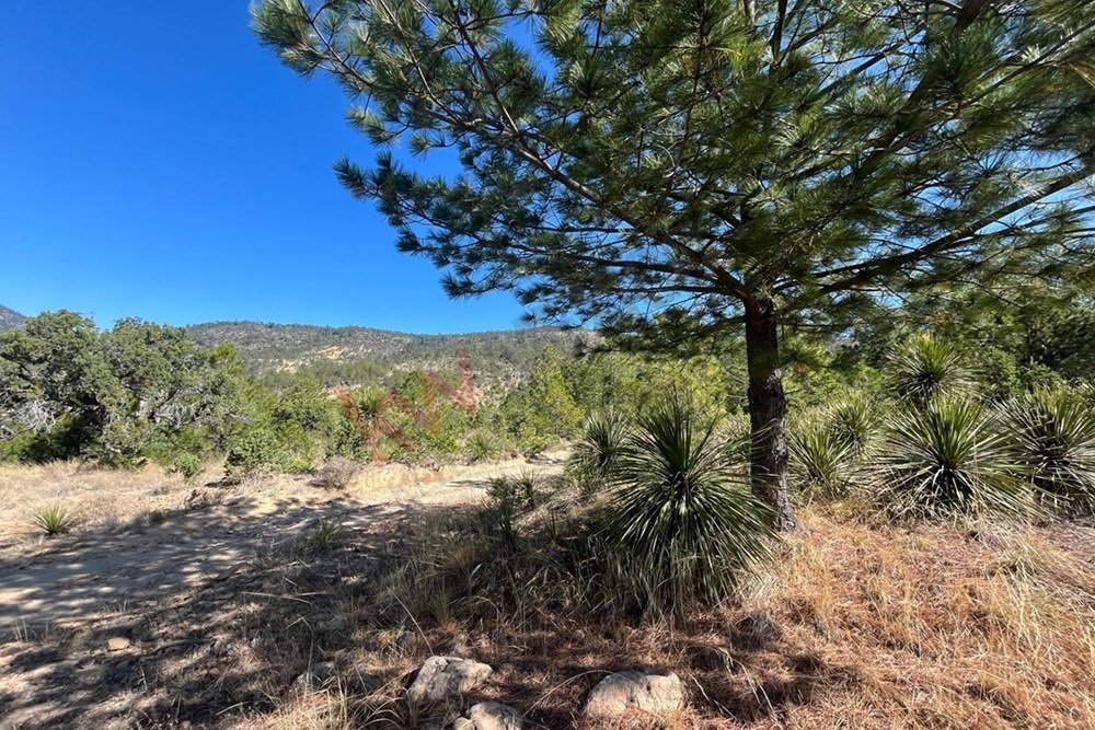 Land in Xaltitla, Tlaxcala, Mexico 1 - 15632203