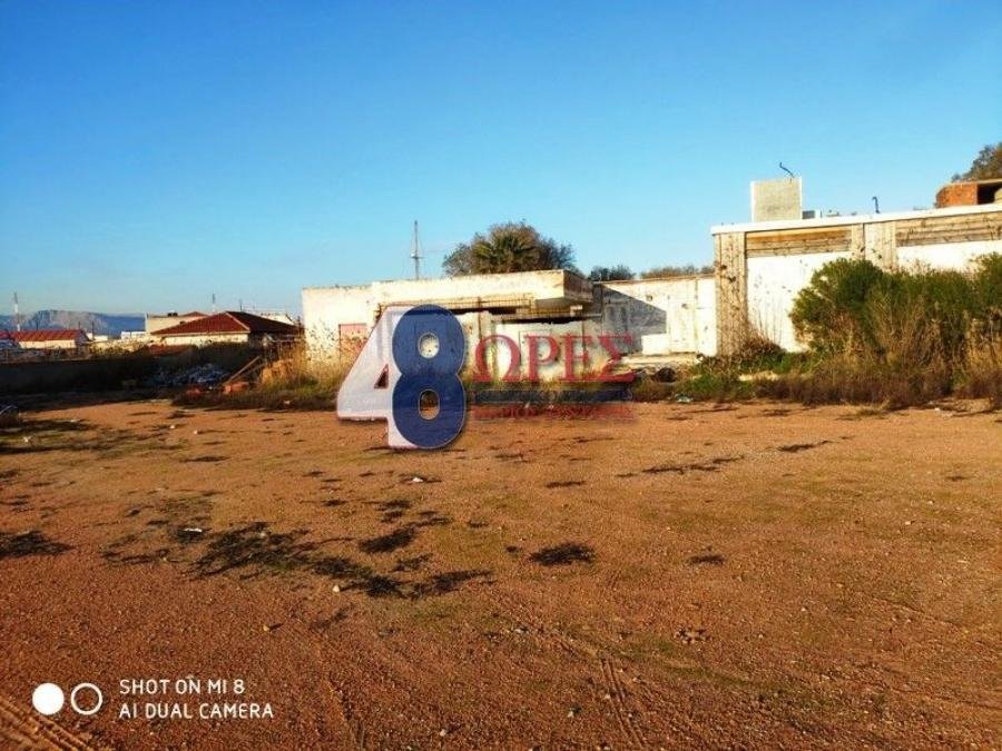 Land in Chios, Aegean, Greece 5 - 15635455