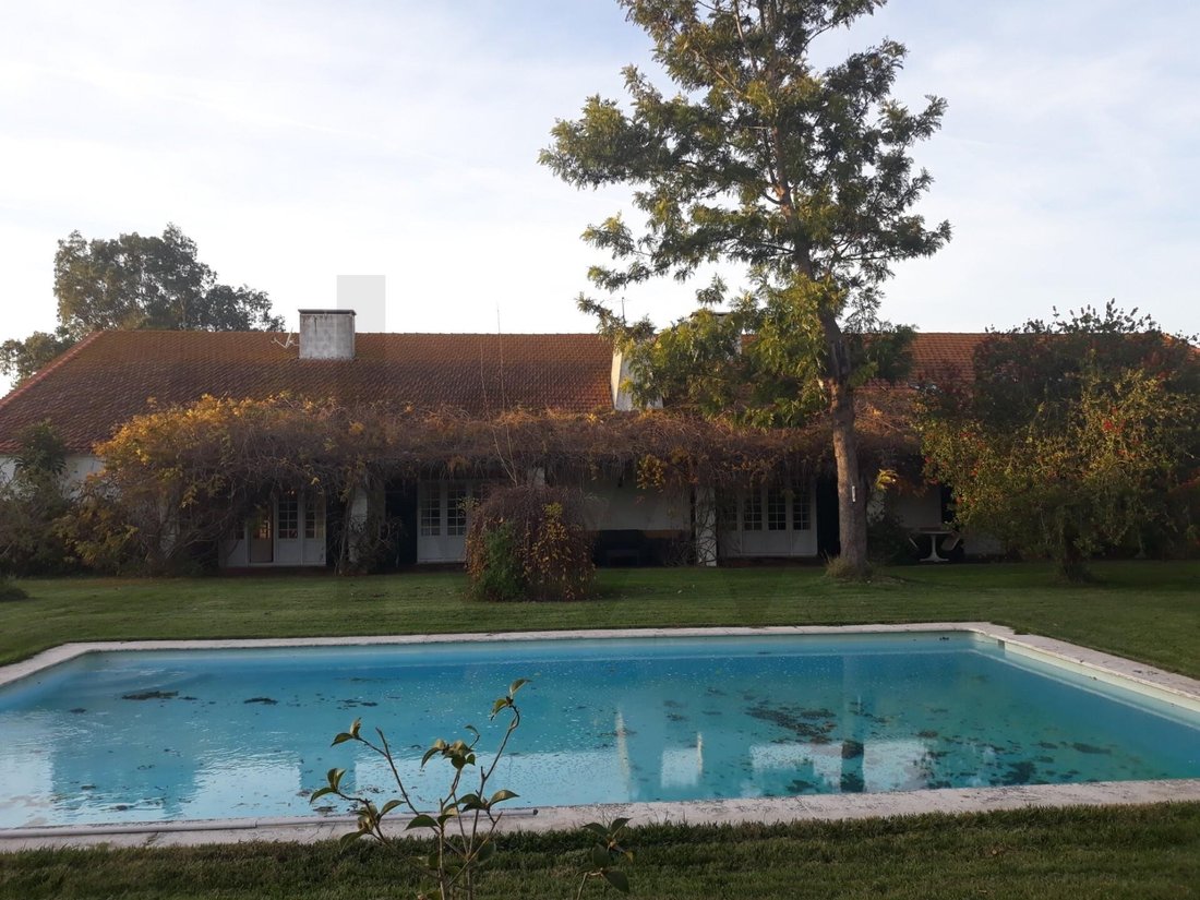 Farm Ranch in Benfica do Ribatejo, Santarem District, Portugal 5 - 15632777