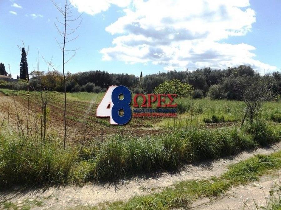 Land in Chios, Aegean, Greece 3 - 15635495