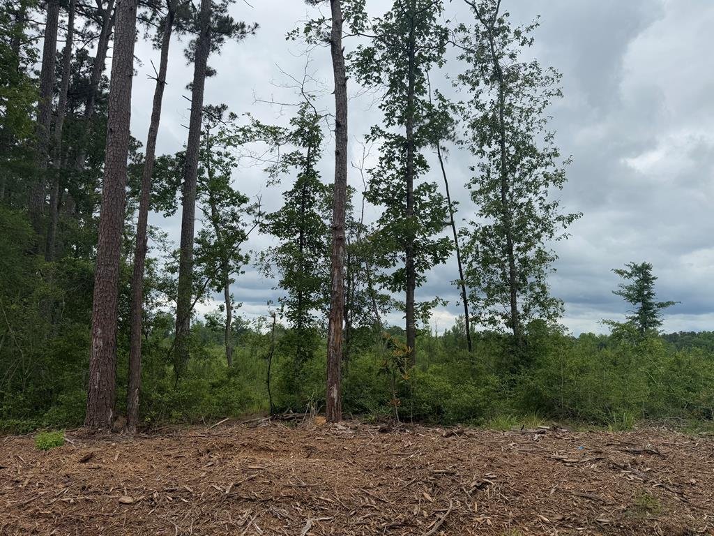 Terreno a Jasper, Texas, Stati Uniti 3 - 15625665